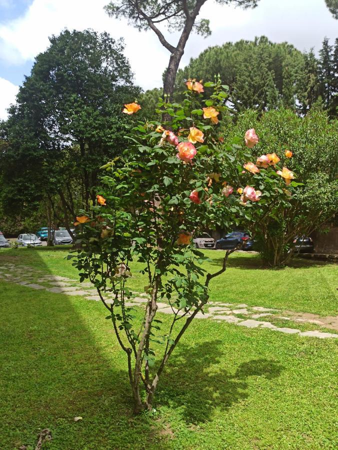 Aurelia Antica Terrace Apt Free Pool And Parking Рим Екстериор снимка